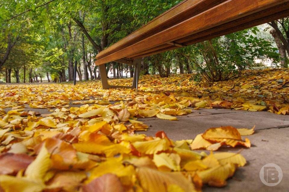    Фото: Дмитрий Рогулин/"Городские вести"