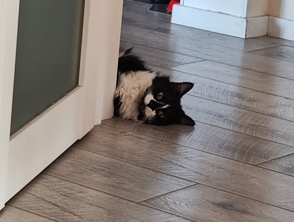 Посмотри на мир под другим углом