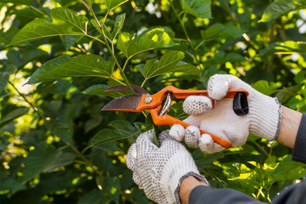     Фото: freepik.com