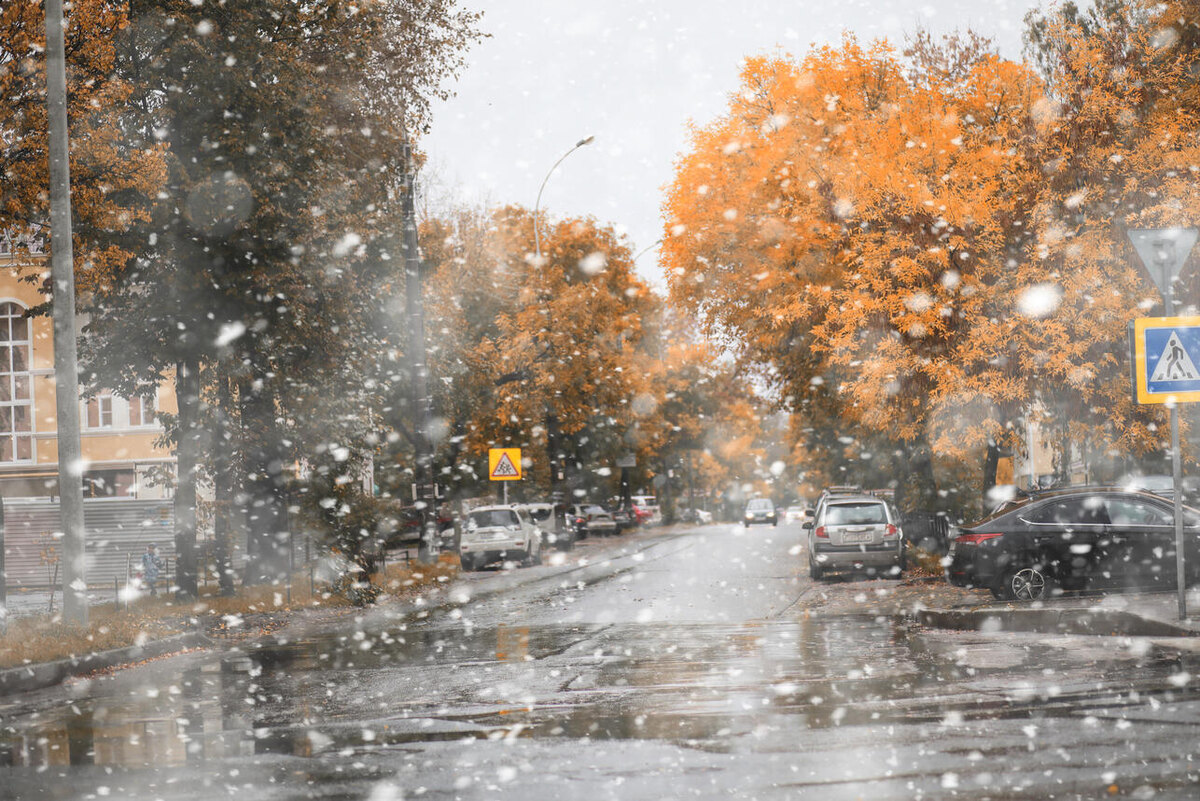    Первый снег 123RF/legion-media.ru