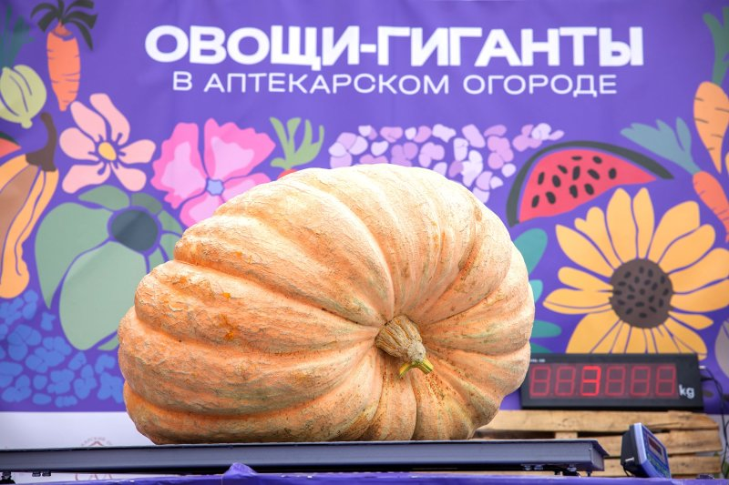 Фото: Александр Корольков/ РГ