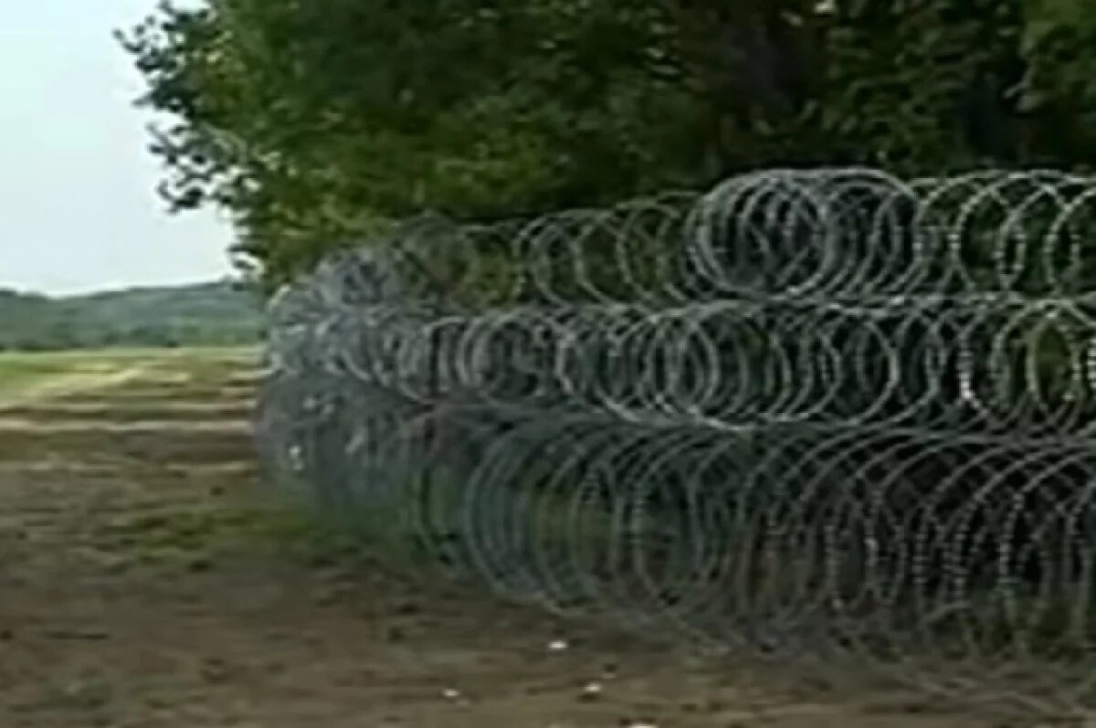    Полковник Баранец: «стена дронов» на границе в РФ за $10 млрд озолотит США