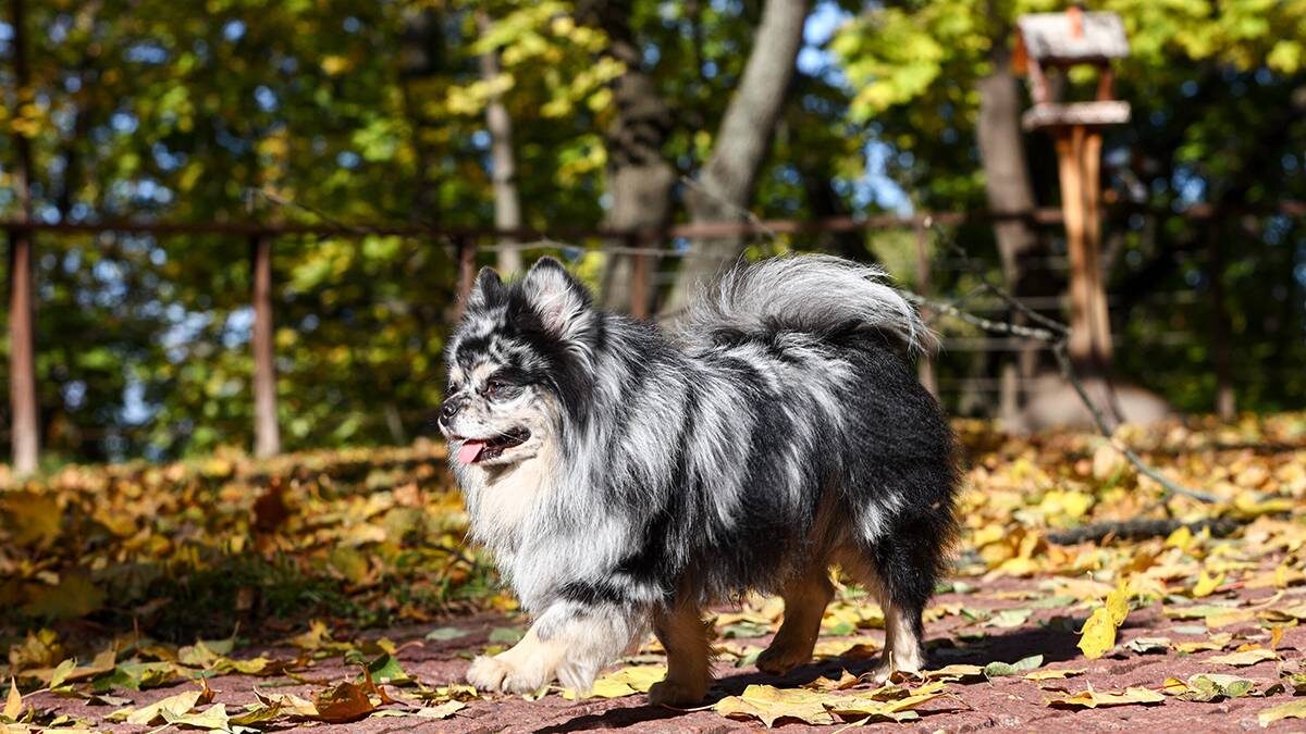    Фото: Ярослав Чингаев / АГН Москва