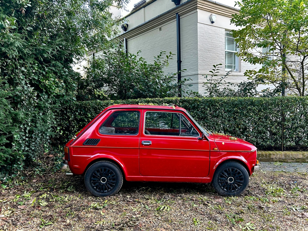 Изображение взято из открытых источников. 