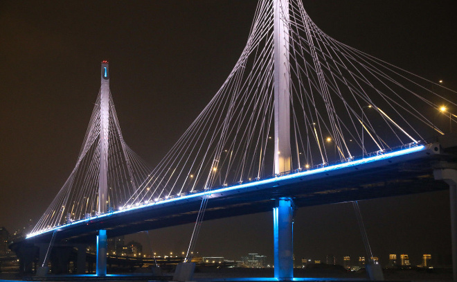    © Роман Пименов / «Петербургский дневник»