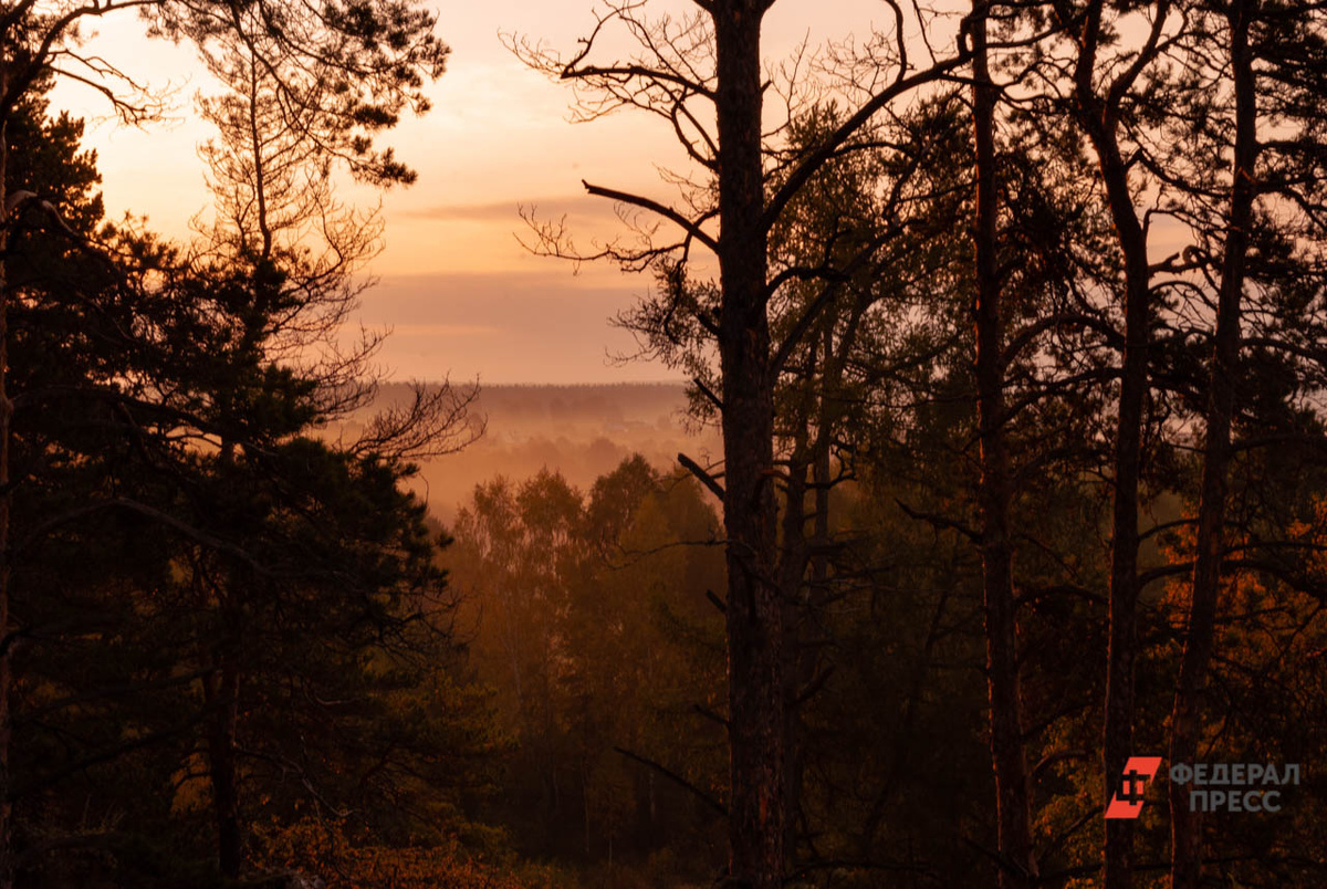 Спасатели признались, что найти туриста живым на Конжаке – настоящее чудо.  Фото: Фото: ФедералПресс / Елена Ельцова