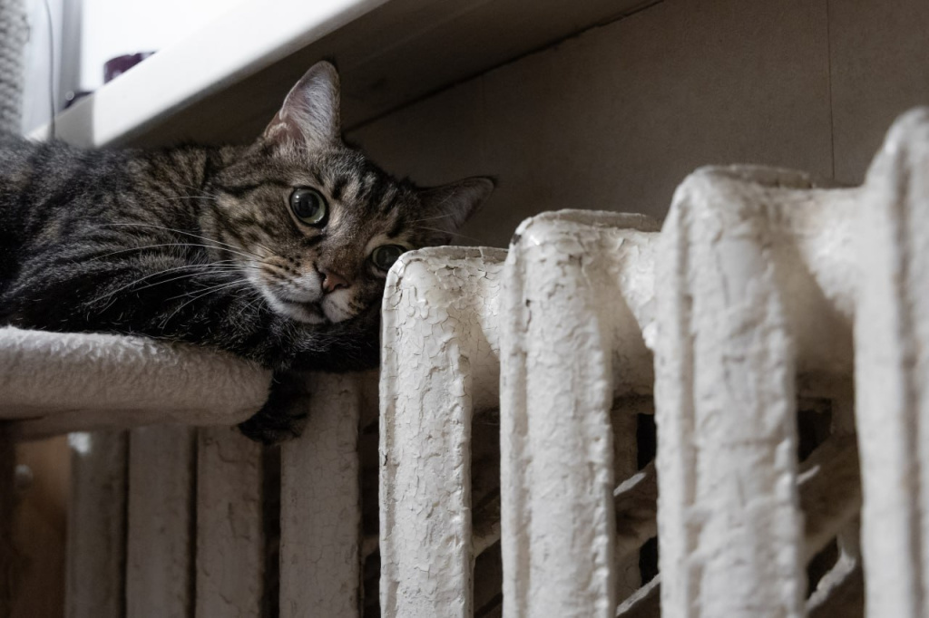 Фото: Михаил Гладчук