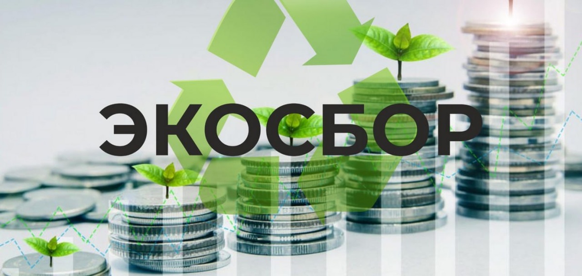 Источник фото: Интернет 