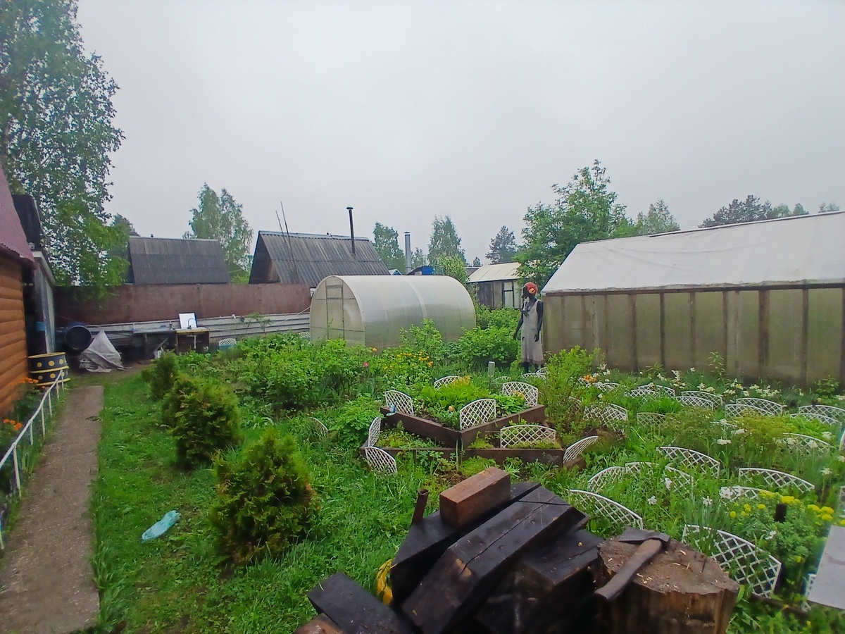    Сидераты хоть осенью, хоть весной малоэффективны и даже вредны. Отказалась от них