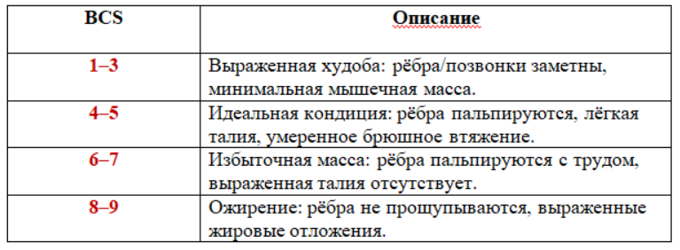 BCS (9-балльная шкала), краткое описание