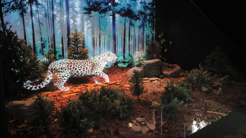    Пресс-служба Национального центра «Россия»