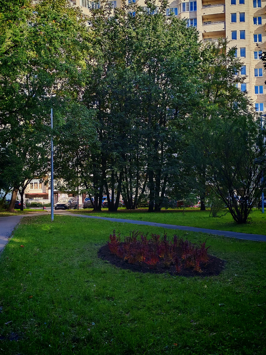 Сквер по дороге