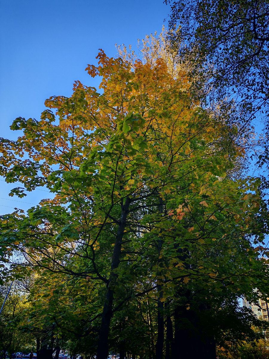 По дороге на работу.