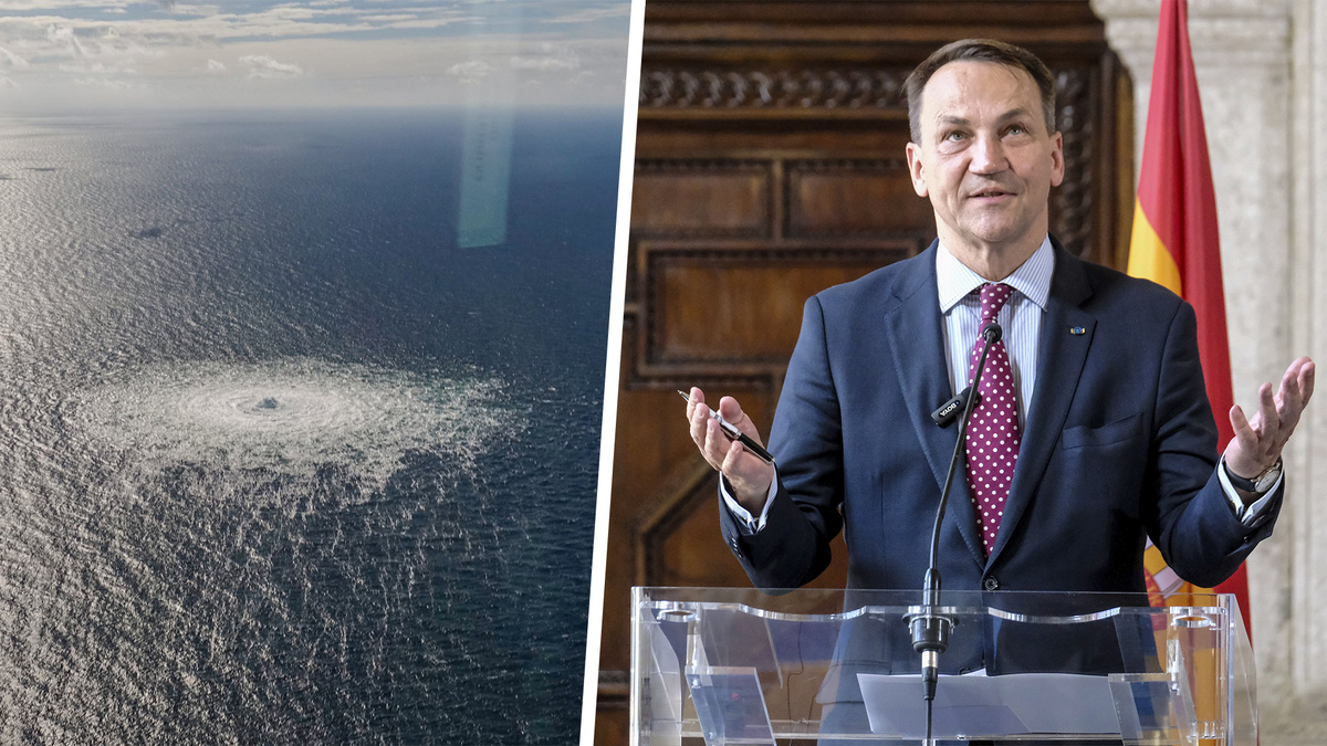 Фото: Danish Defense Ministry/Mauro Scrobogna/globallookpress.com