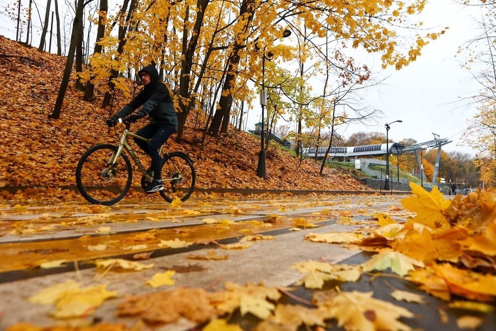    Фото © АГН «Москва» / Ярослав Чингаев