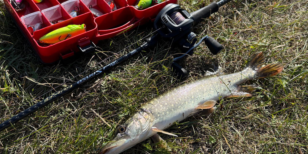 В чем сила силиконовых приманок и когда лучше использовать железо