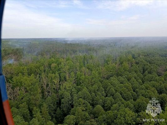    Фото: МЧС Липецкой области