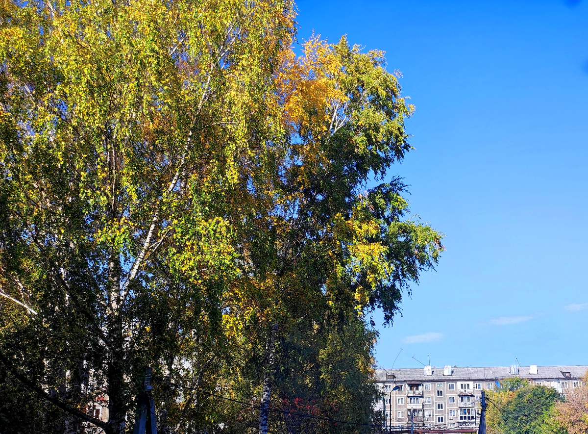 Фото автора 