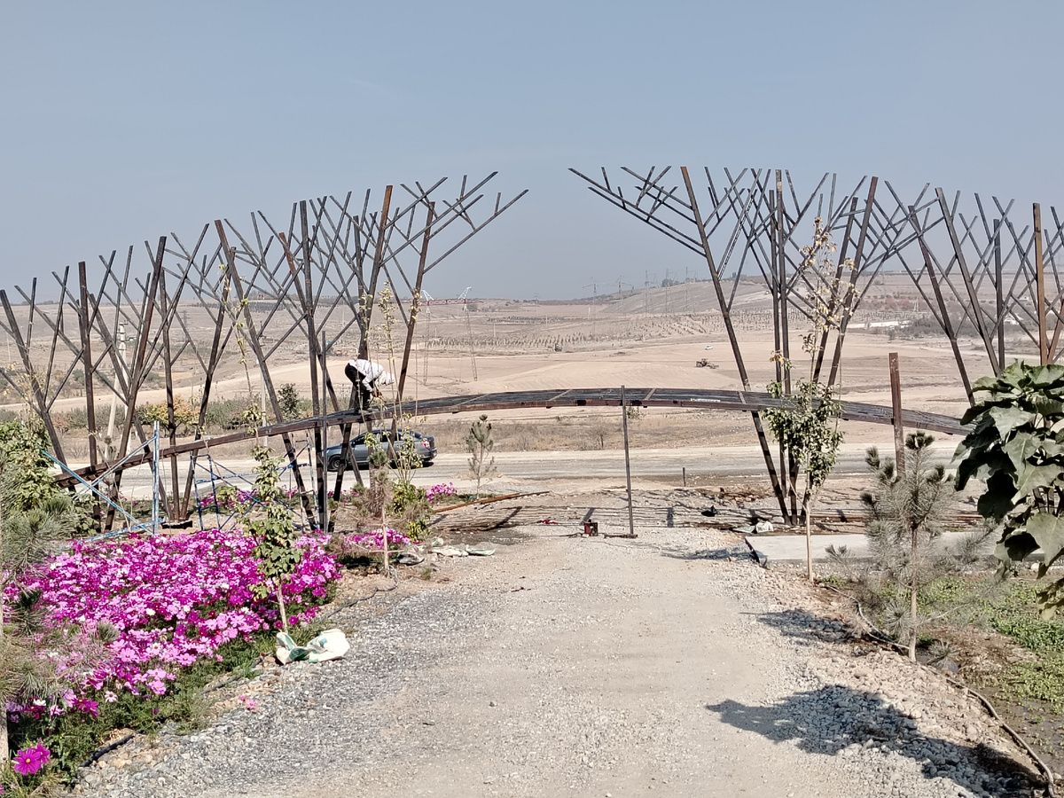 Орошаемая и неорошаемая земля Ферганской долины. Фото автора 