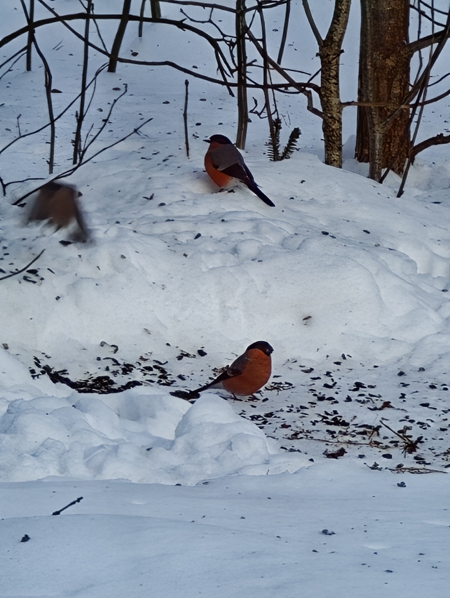 листайте галерею