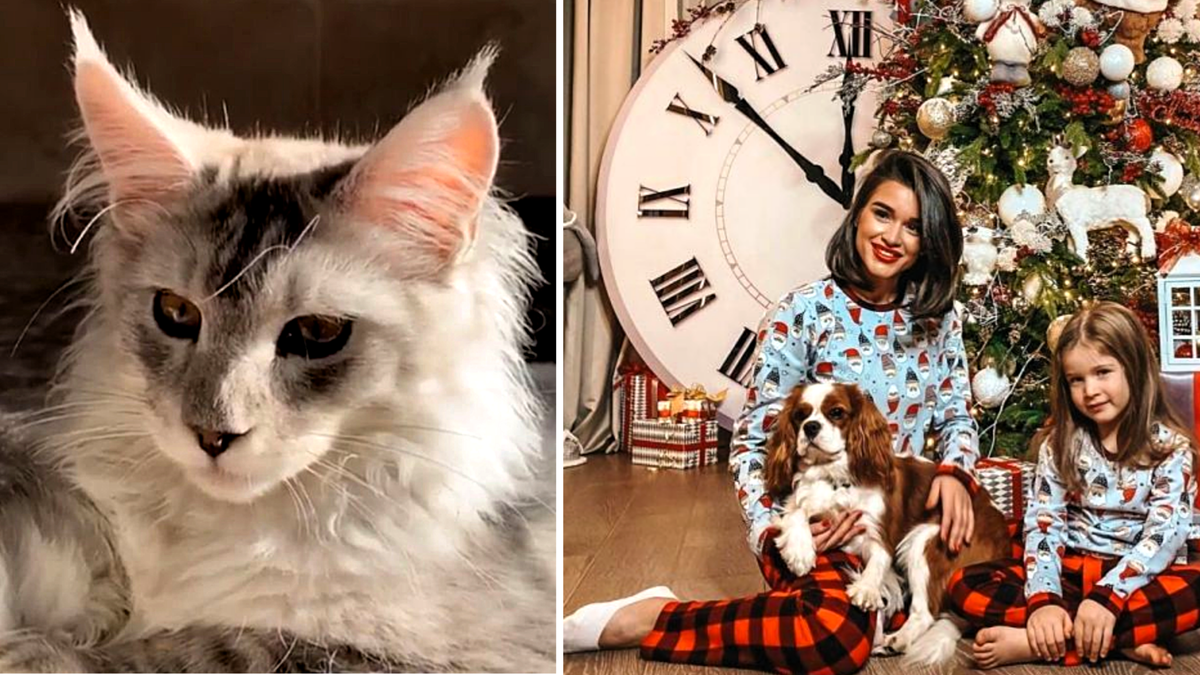 Слева Цветан, справа - Мишель