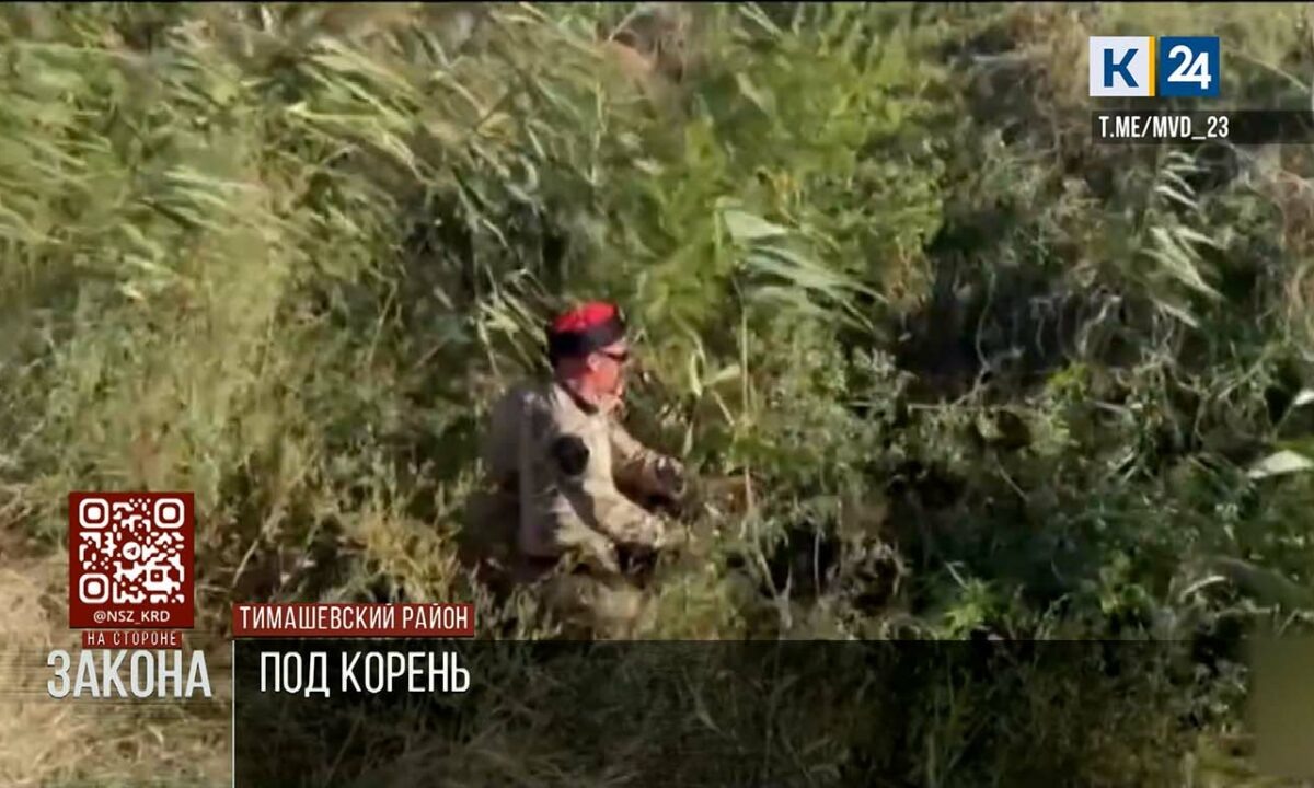    Фото t.me/mvd_24