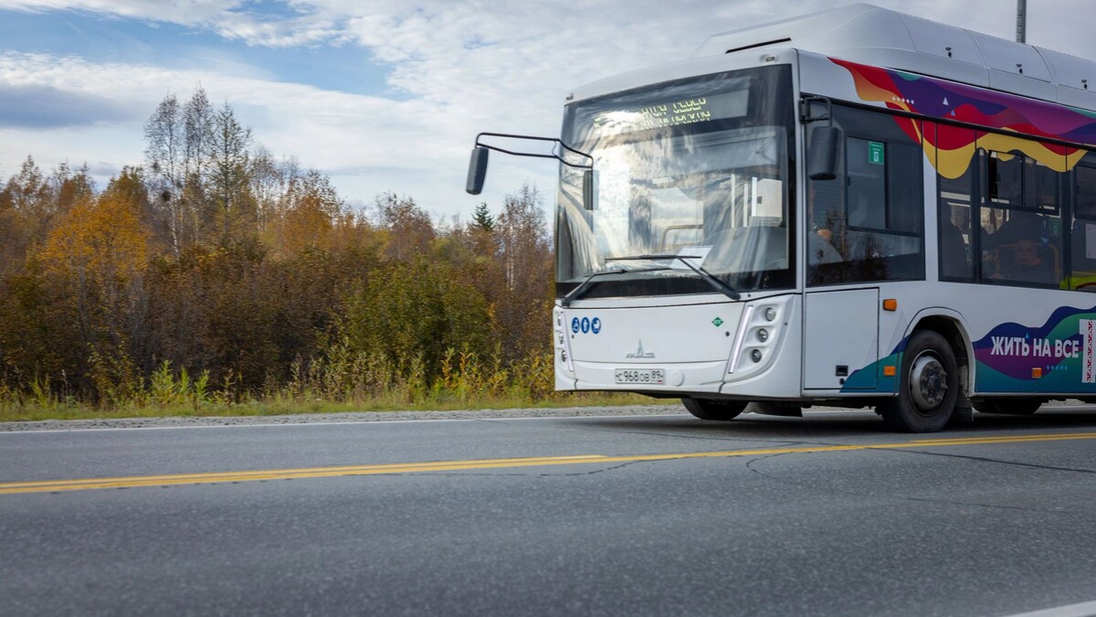    Фото: Федор Воронов / «Ямал-Медиа»