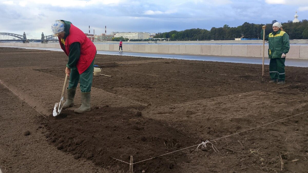    Фото: t.me/krgv_live