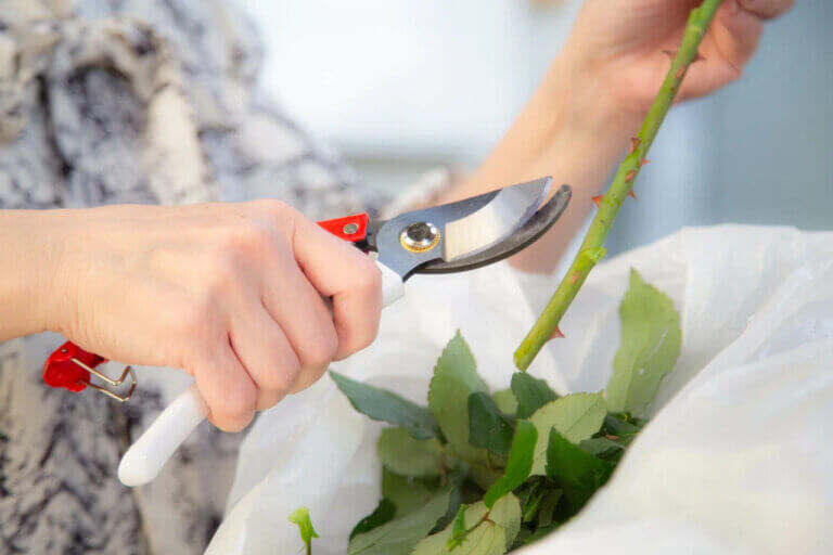    Фото: Общественная Служба Новостей Марта Леви