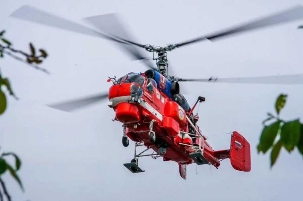    В столице в этом году не зафиксировано природных пожаров