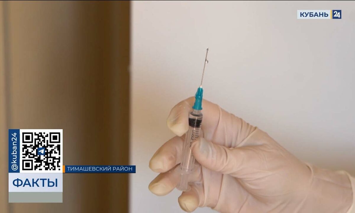    Видео канала «Кубань 24»