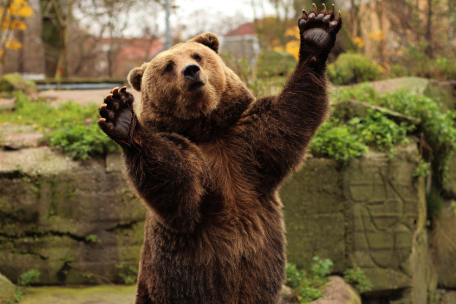    Shutterstock/FOTODOM