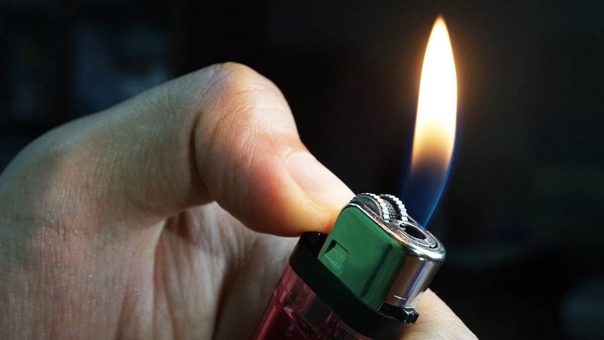    Фото: shutterstock