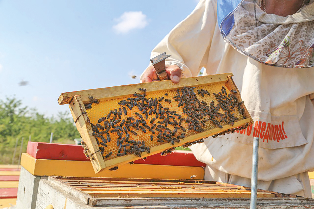 Фото: Михаил ГЛАДЧУК