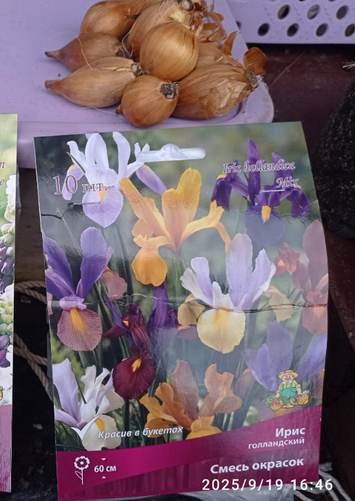 Предыдущая покупка