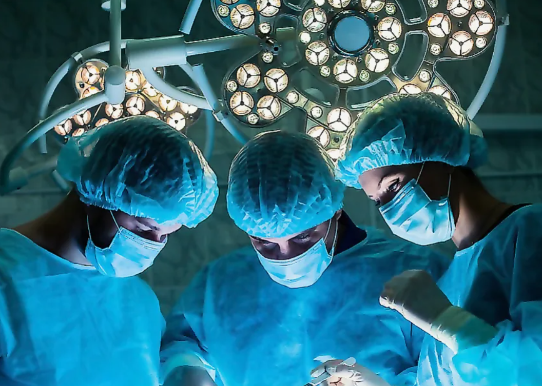 Фото: открытые источники