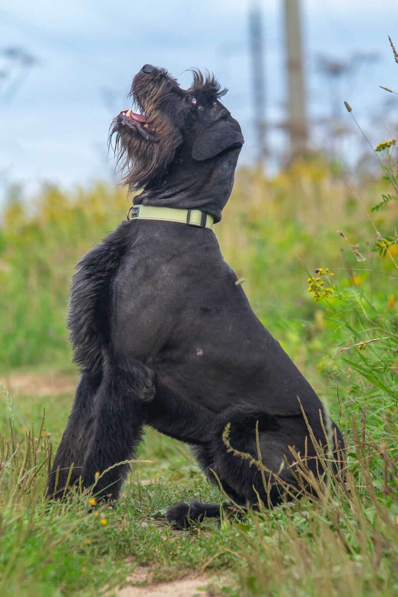 На ручки? Кто, я?.. Запросто!!! 