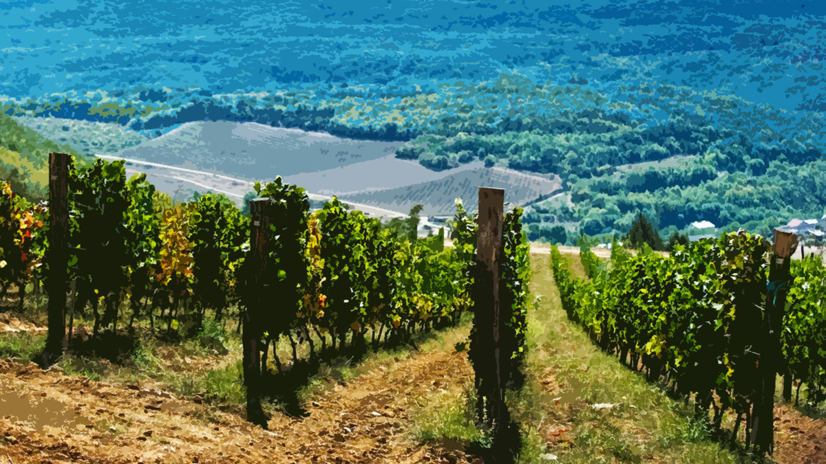 Иллюстративный материал взят из общедоступных ресурсов интернета