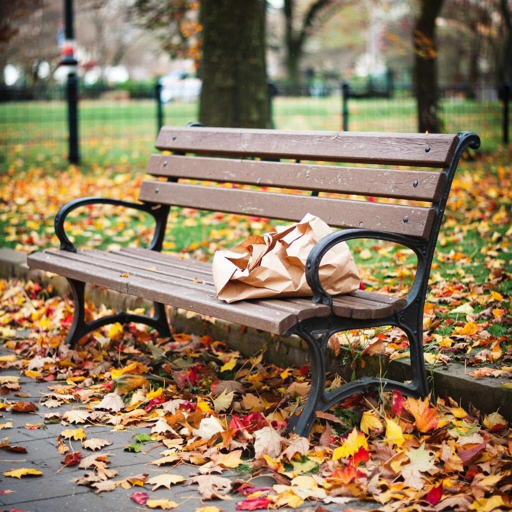 Осеннее солнце, тот ещё алхимик, упорно пыталось превратить свинцовую прохладу октября в золото...