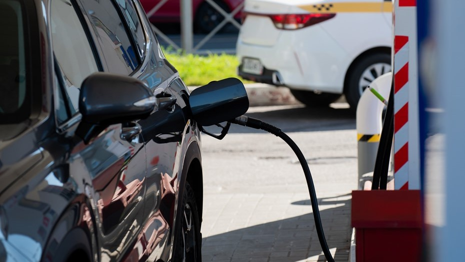 Фото: Сергей Ермохин/"ДП"