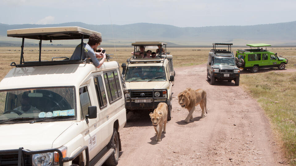 Фото: © Johannes Hennemuth/DPA/TASS