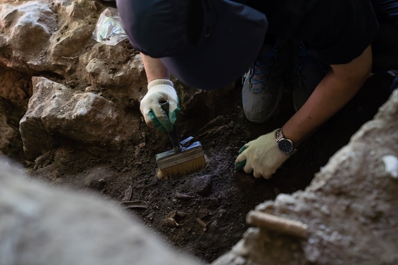    Фото: пресс-служба Субтропического научного центра РАН