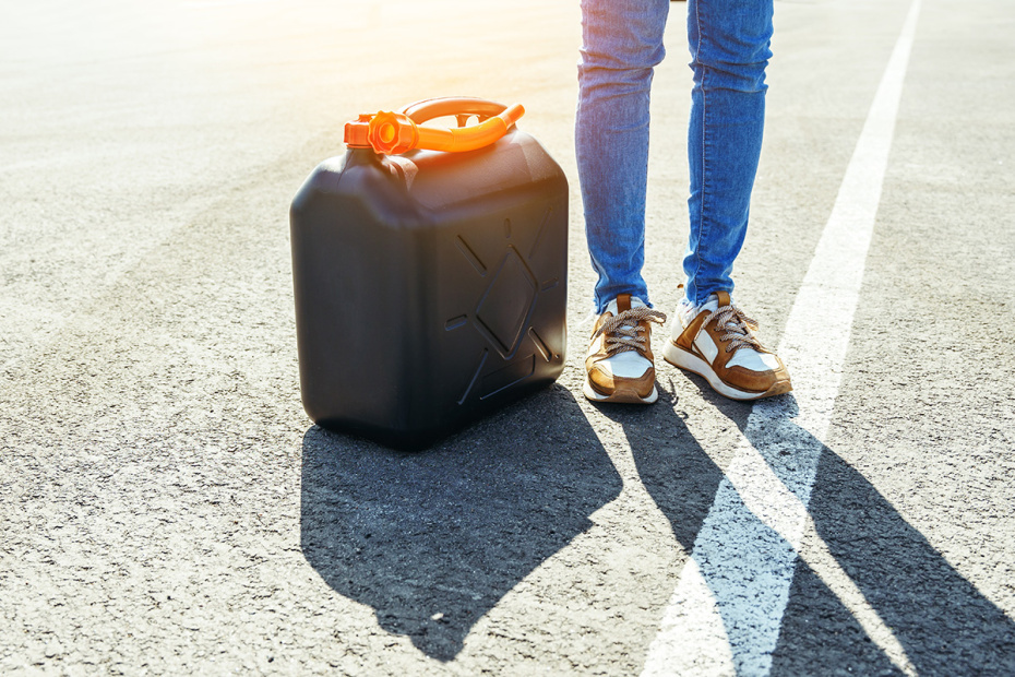    Shutterstock/FOTODOM