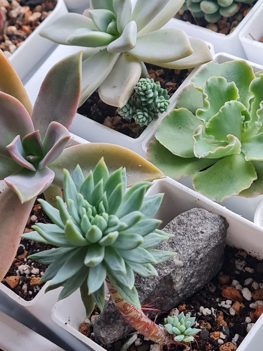 18 апреля 2025