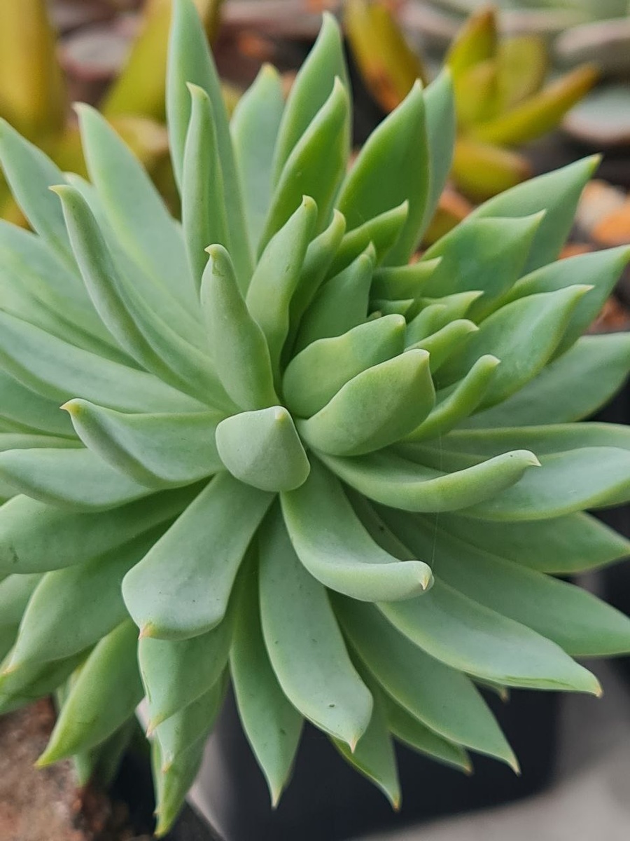 Вышли на прогулку, в середине июля