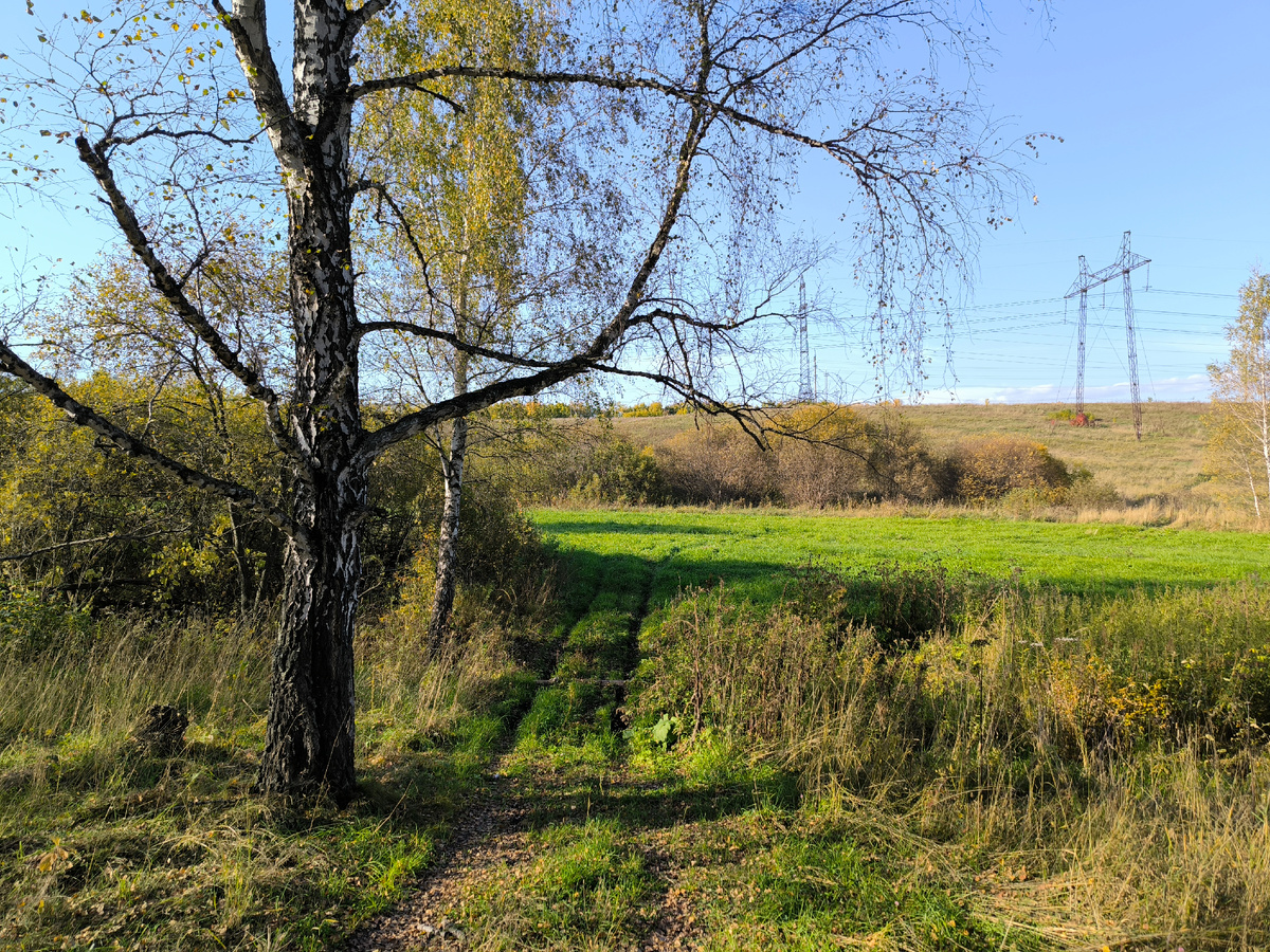 Кроме травки на лугу