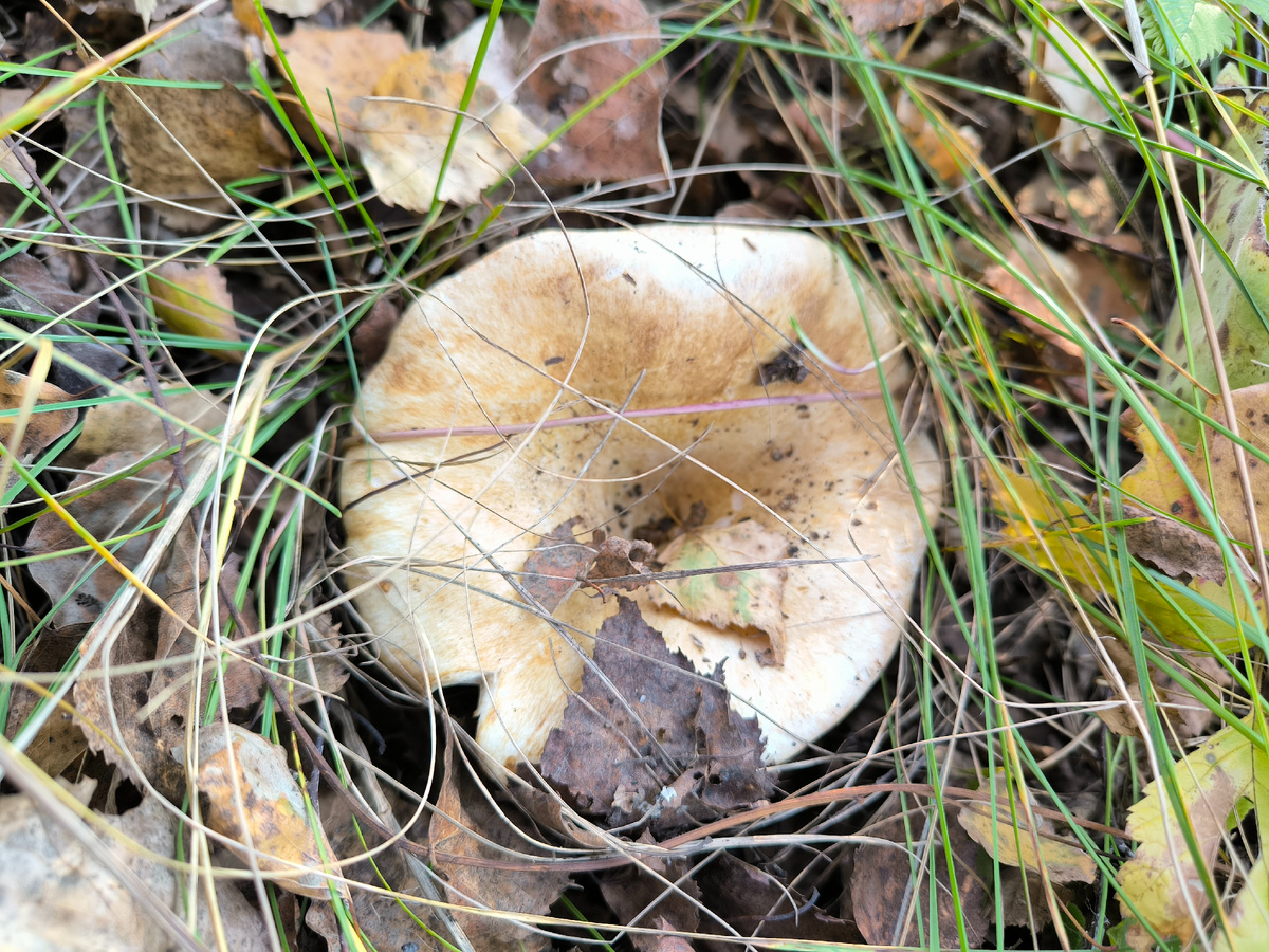 Другой оказался на открытом воздухе и загорел