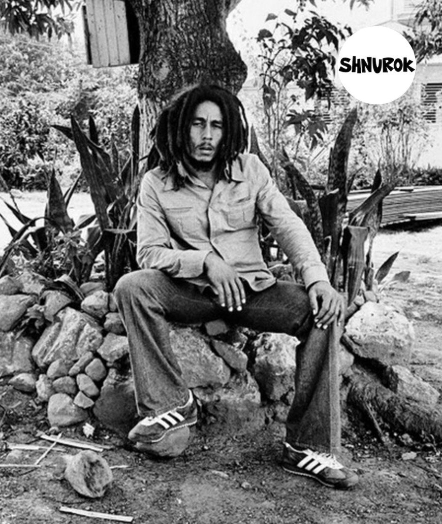 Марли в Adidas SL 72