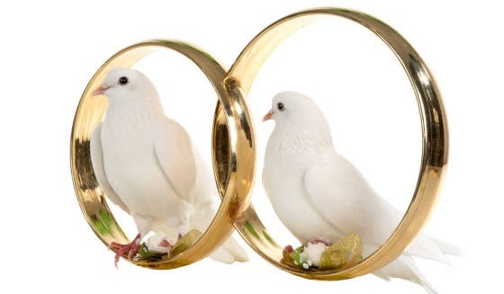 обручальные  кольца на свадебную машину