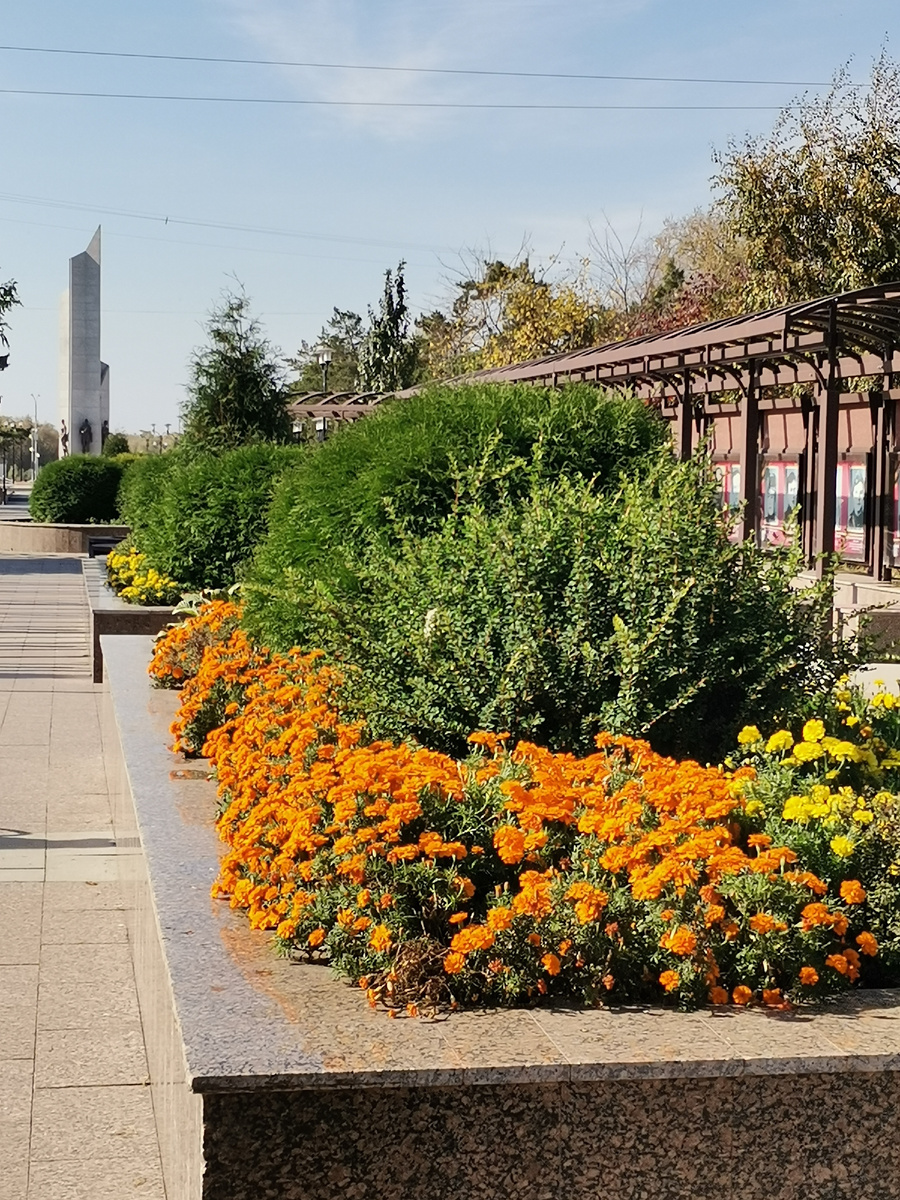 Бульвар Победы